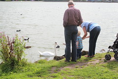 Feeding the swans and ducks