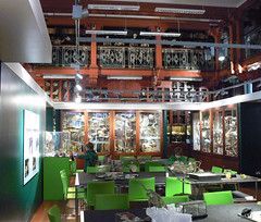 Grant Museum of Zoology, London