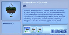 Hanging Plant of Simolon