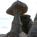 Stone Mushrooms - Babele