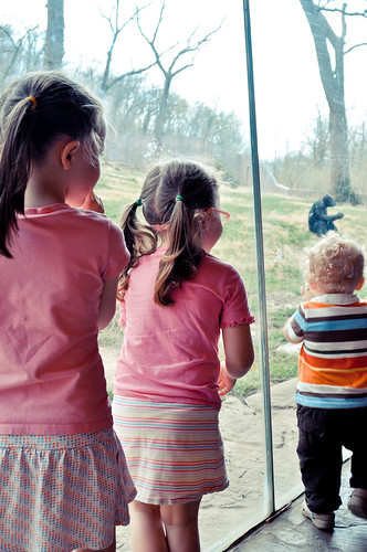 A Littles Visit To The Zoo | 03/16/2012