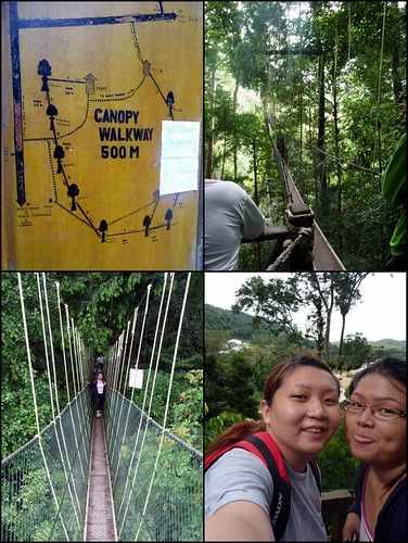 Taman Negara trip  May 2012 - canopy walk