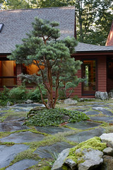 Shin-Boku's Japanese Gardens