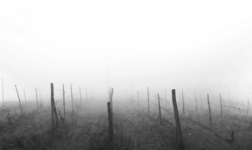 Fog in black and white by Mattnet