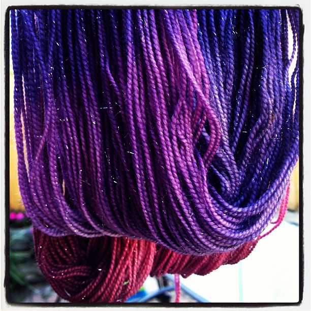 Paris looks pretty snazzy in the new sparkly yarn!  #yarn #knit #knitting #destinationyarn