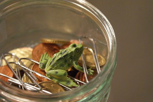 froschkönig schwimmt im geld