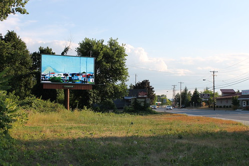 Albany Billboard Art Project 2012 - Julia Cocuzza (24)
