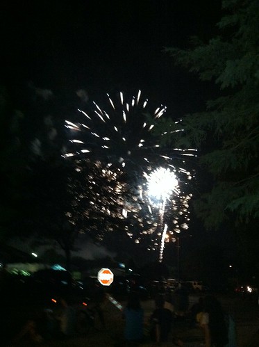 Livonia Spree Fireworks