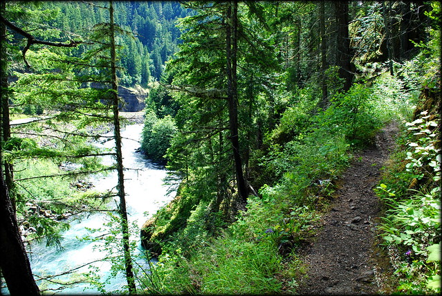 Clackamas River Trail