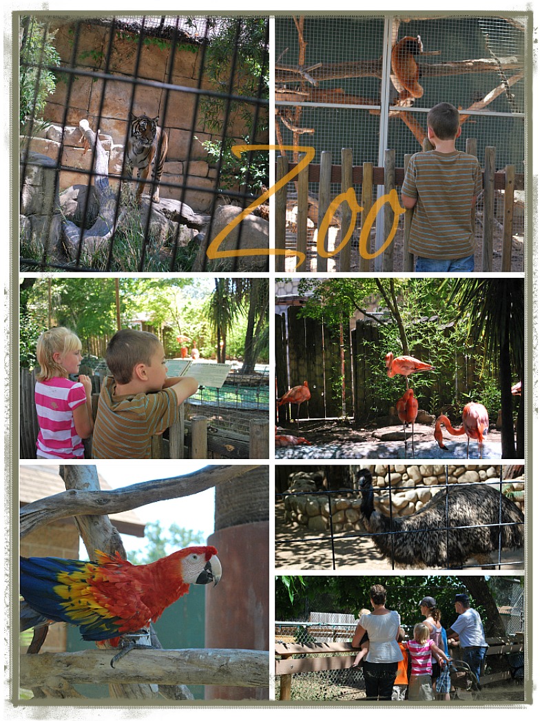 PicMonkey Collage-zoo