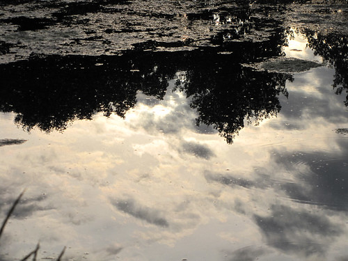 Reflections of a scrambled sky