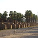 Luxor Temple, Egypt - IMG_1828