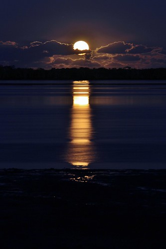 Moonrise over Cabbage Tree Point
