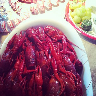 crayfish (instagram)