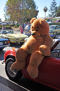 23rd Annual Teddy Bear Run by Patrick Redd