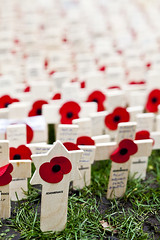 The Field of Remembrance, Westminster Abbey