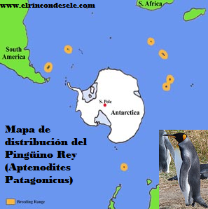 Mapa de distribución del pingüino rey