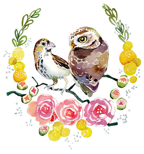 owl-illustration