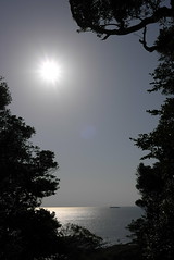洲崎神社から見える海