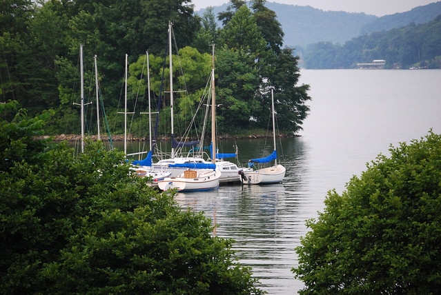 Sail boats at the Claytor Lake Marina behind Water's Edge 