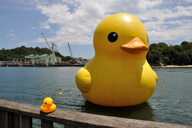 Rubber Duck in Onomichi