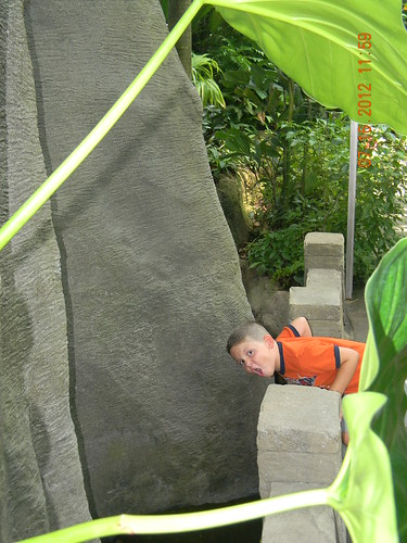 Moody Gardens - Rain Forest Pyramid 7-16-2012