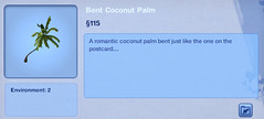 Bent Coconut Palm
