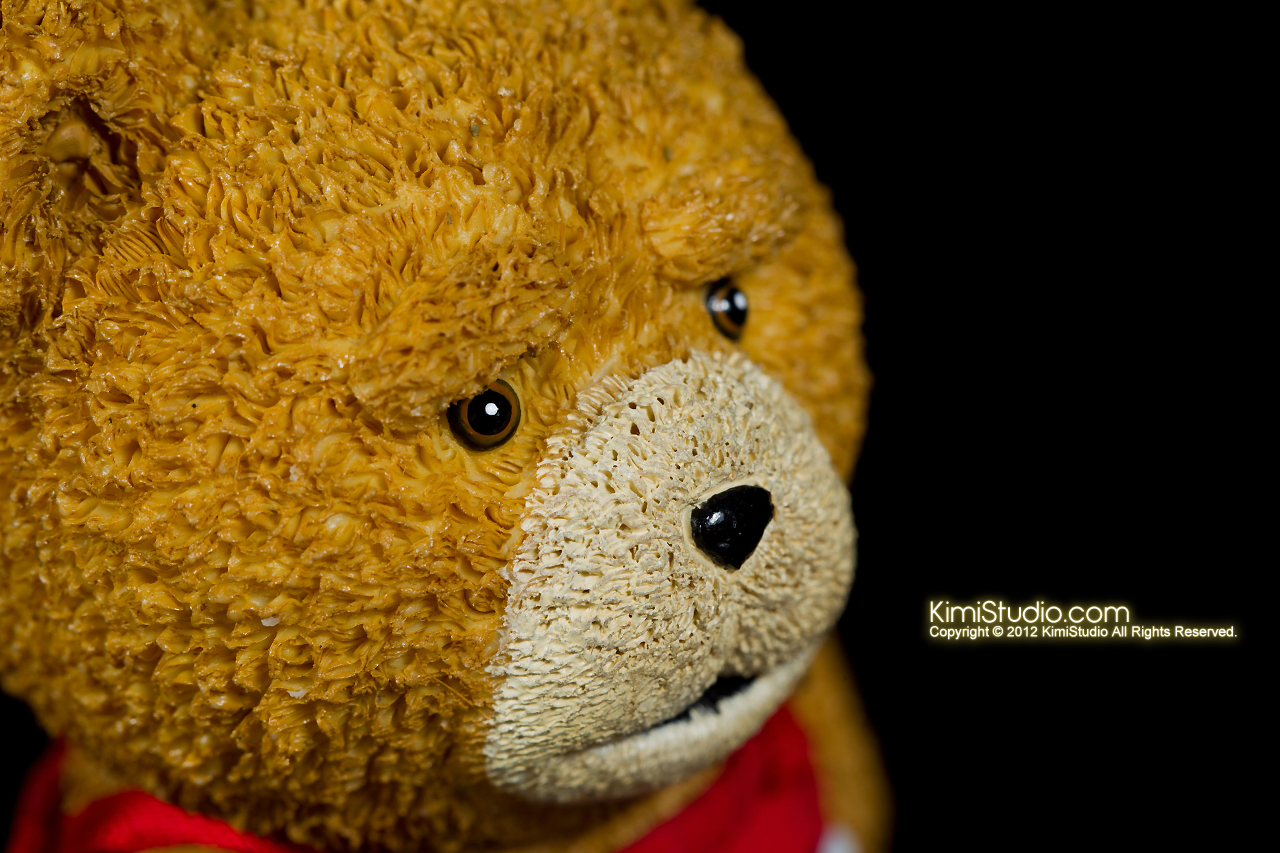 2012.11.01 Teddy-017