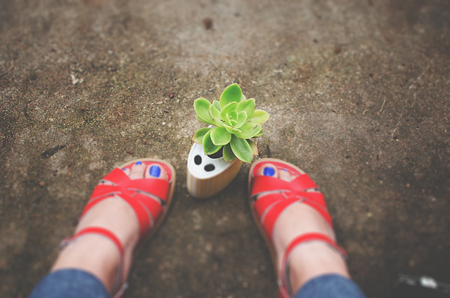 sandals & a succulent