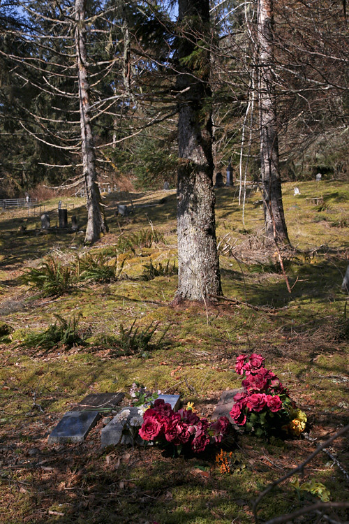 graves and trees in Kasaan Cemetery, Kasaan, Alaska