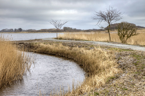 The new lake,  by Henny in Denmark