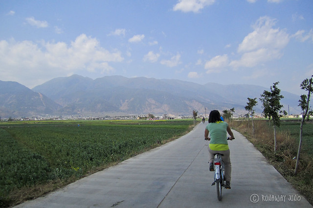 Cycling around Erhai Lake