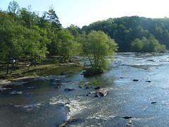 Tyger River from Old Hills Bridge