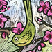 detail of Japanese Spring