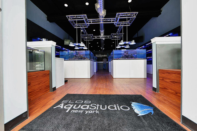ELOS Aquastudio USA