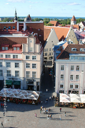 view from City Hall Tallinn (9)