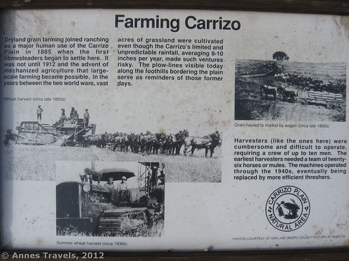 Dryland farming in Carrizo Plain National Monument, California