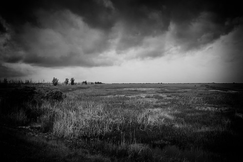 Storm over the Everglades by Ed Llerandi
