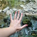 Hand in the Water