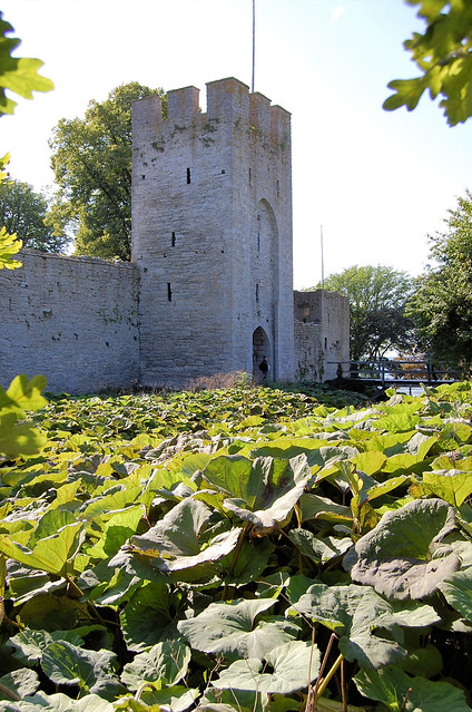 The walls around Visby