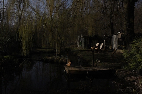 Pond and Chairs by Moonlight