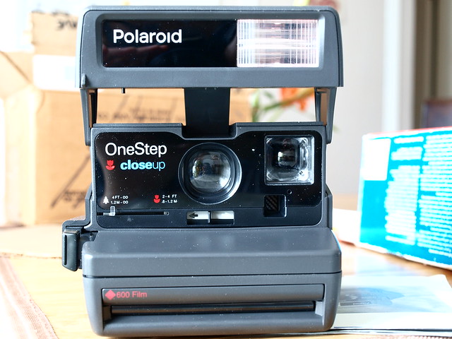 317*365 Grateful-Polaroid