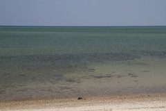 20120416 - April Beach Day