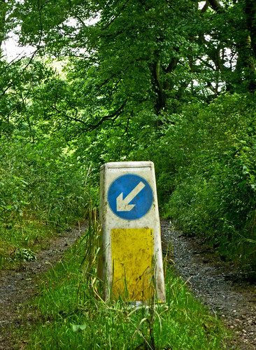 A battered UK "keep left" road sign placed on a rural footpath, surrounded by grass, plants and trees.