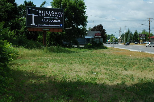 Albany Billboard Art Project 2012 - Julia Cocuzza (1)