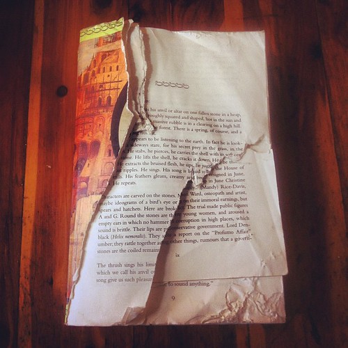 Finding myself immersed in A.S. Byatt 's Babel Tower again. This copy was severely mauled by my dog a while back. Guess she wasn't a fan of it? It really is so good, though.
