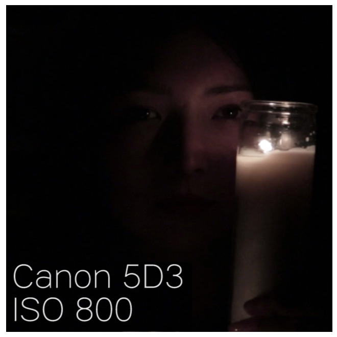 canon5d3_iso800_100percentCROP