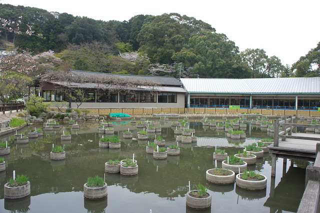 2012-kyushu-673