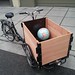 Icicle Tricycle Cedar Cargo Bike holds the World!