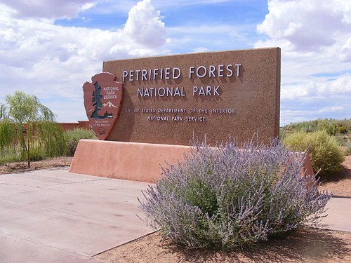 Petrified Forest Official Sign